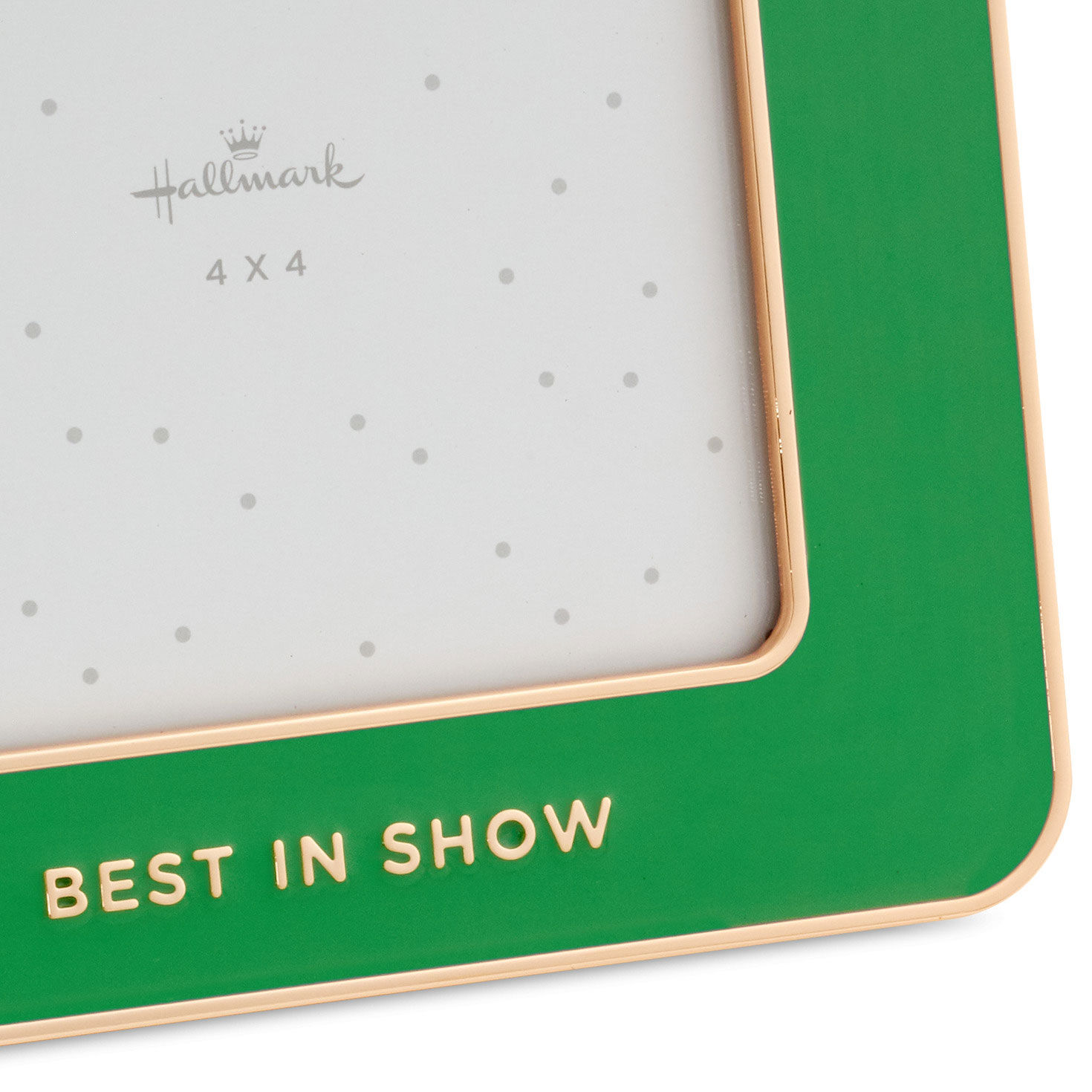 Best in Show Green Enamel Picture Frame, 4x4 for only USD 22.99 | Hallmark