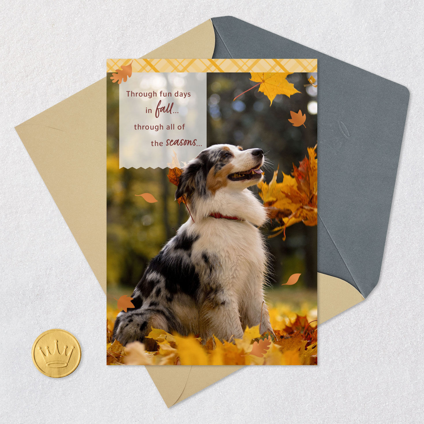 Dog and Autumn Leaves Thank You Card Card Front with Envelope and Gold Seal image number 5