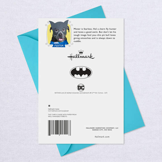 DC Comics™ Batman™ Dog Birthday Card for Grandson, , large image number 7