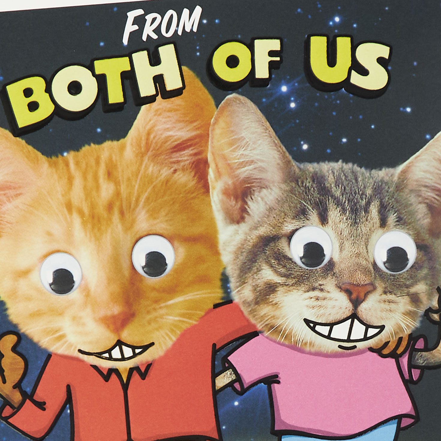 Cats Giving the Moon Crass Funny Birthday Card Card Front Detail image number 4