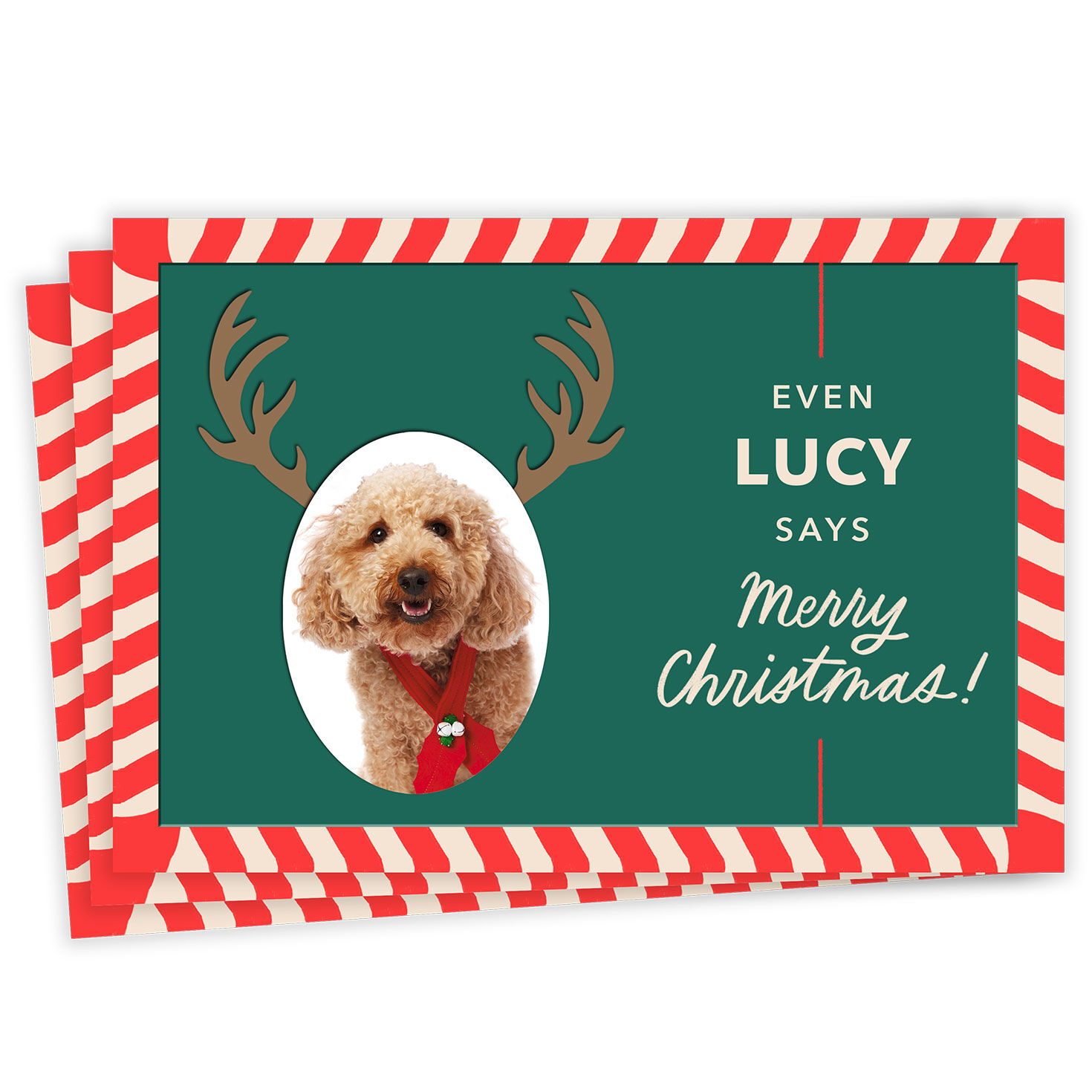 Reindeer Face Funny Flat Christmas Photo Card