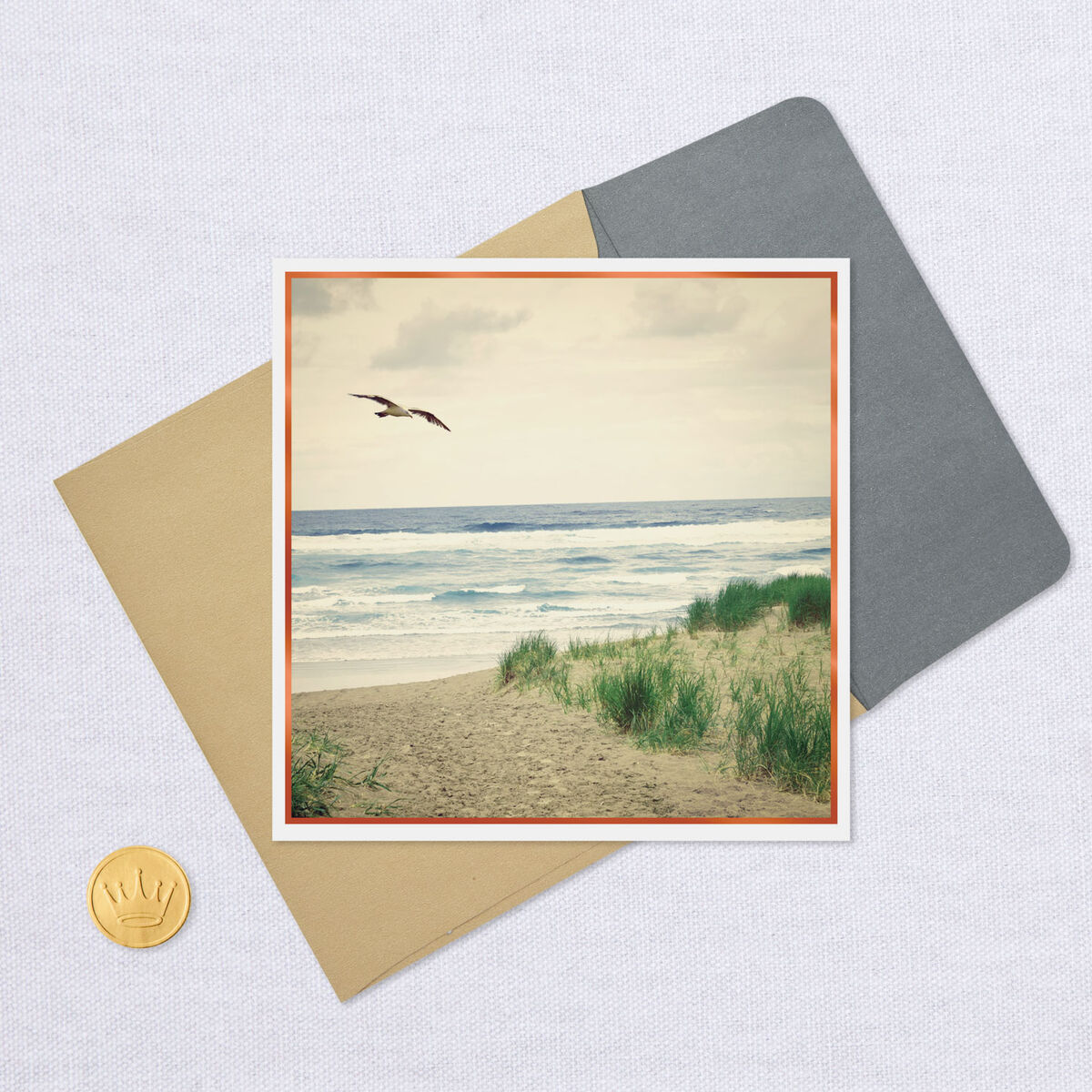 seagull flying over ocean blank card greeting cards