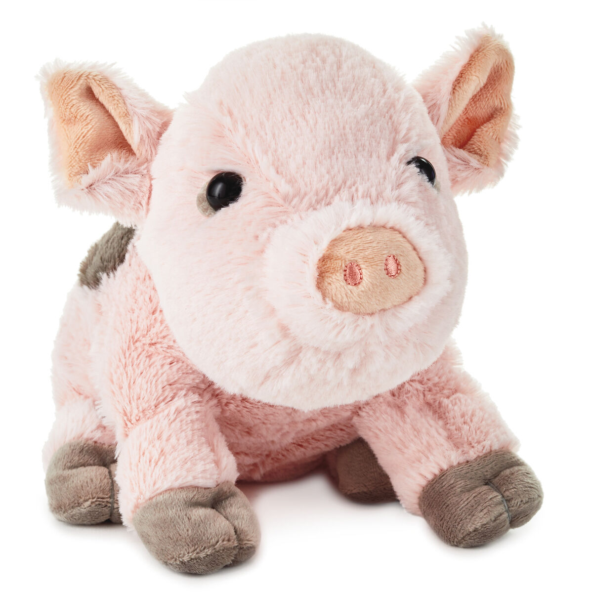 Baby Pig Stuffed Animal, 6.75" Classic Stuffed Animals Hallmark