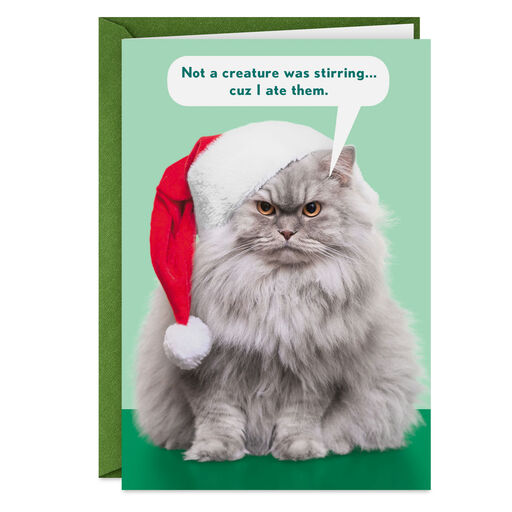 Santa Cat Funny Christmas Card, 