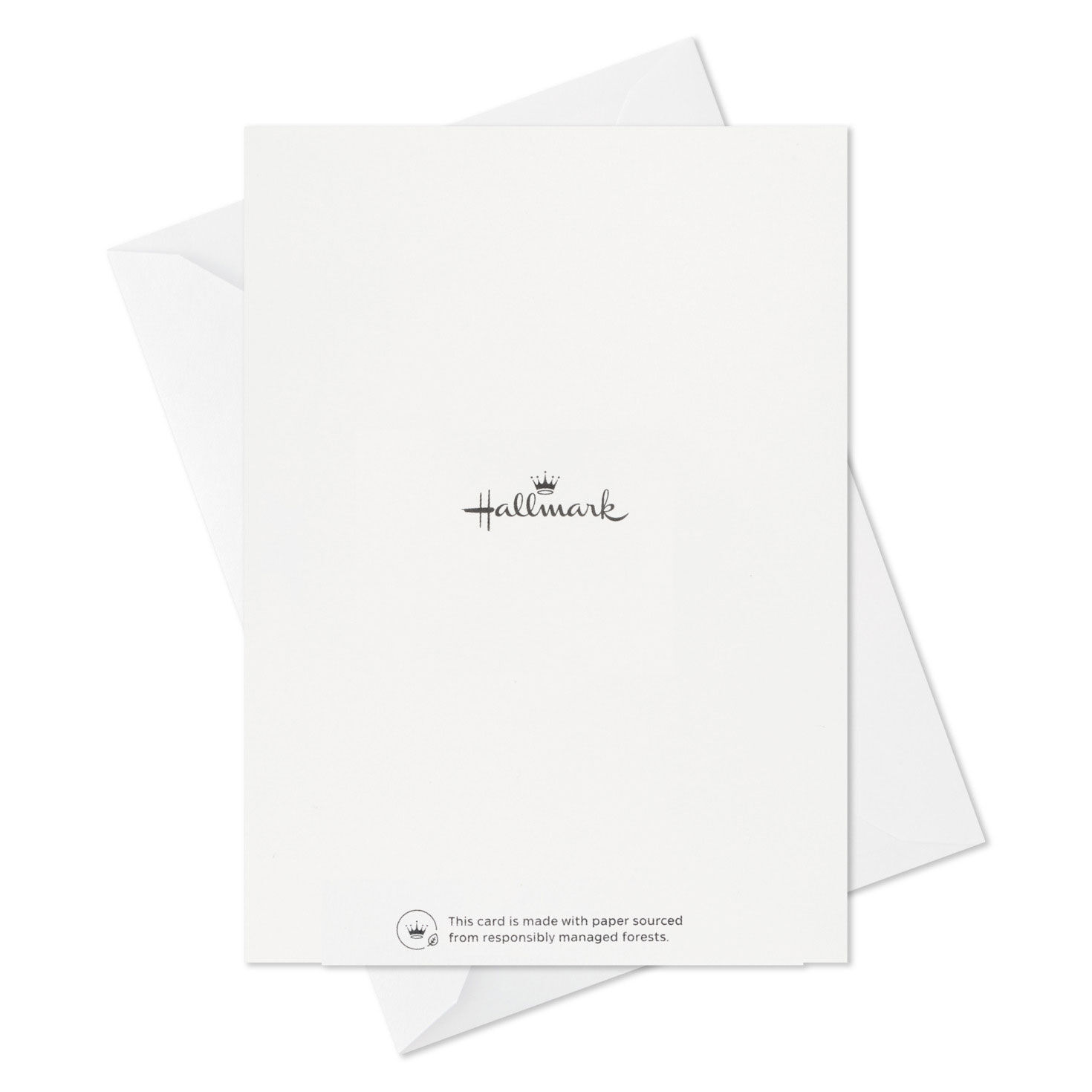 Colorful Daisies Boxed Thank-You Notes, Pack of 50, , large image number 7