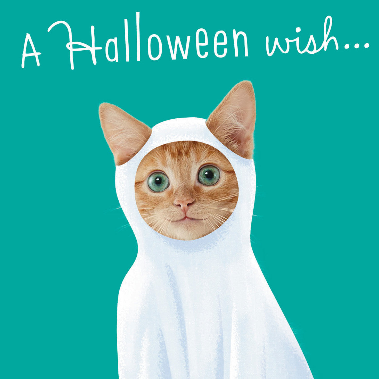 Costumed Dogs and Cats Halloween Cards Assortment Cover Detail image number 4