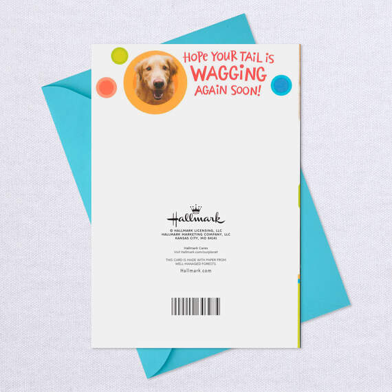 Healing Dog Funny Get Well Card, , large image number 7
