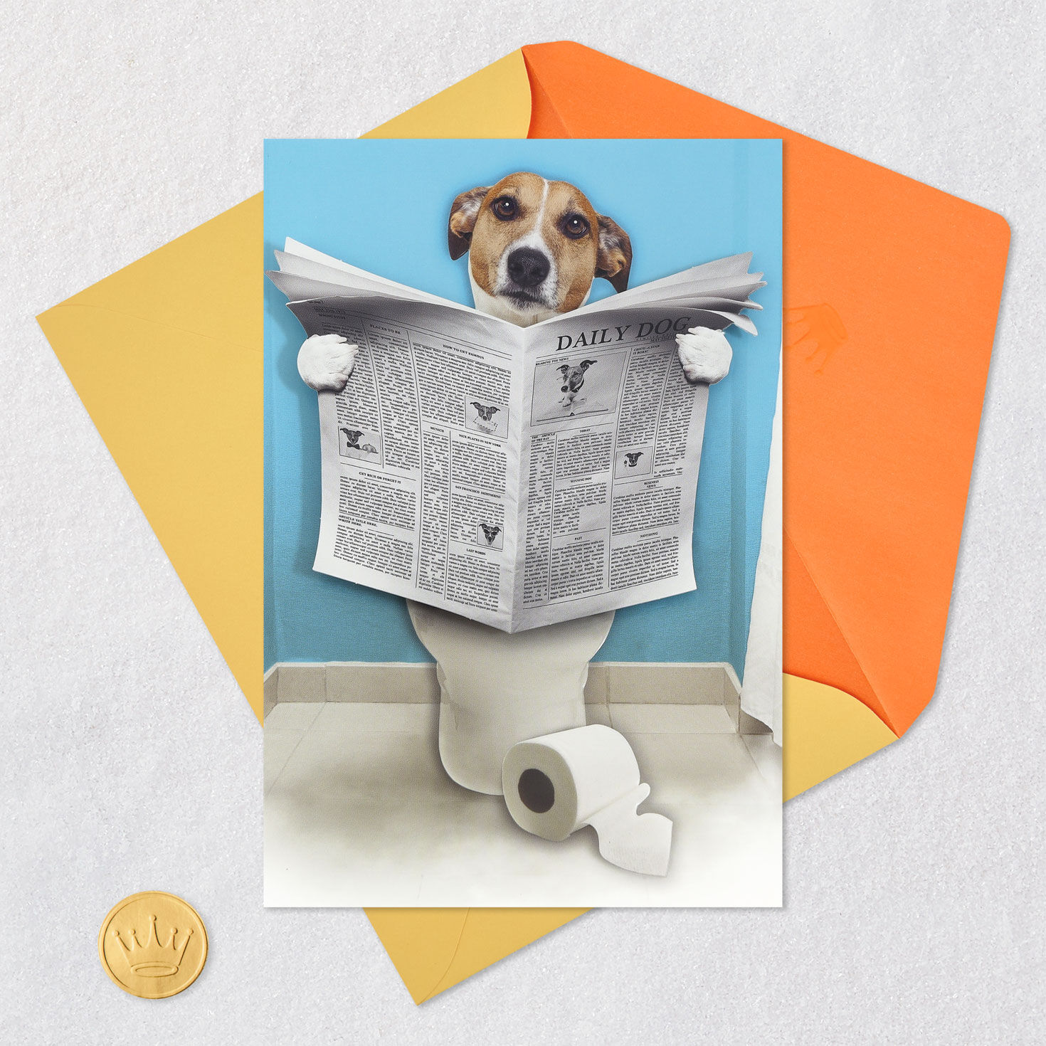 Happy from A.M. to B.M. Funny Birthday Card for only USD 5.99 | Hallmark