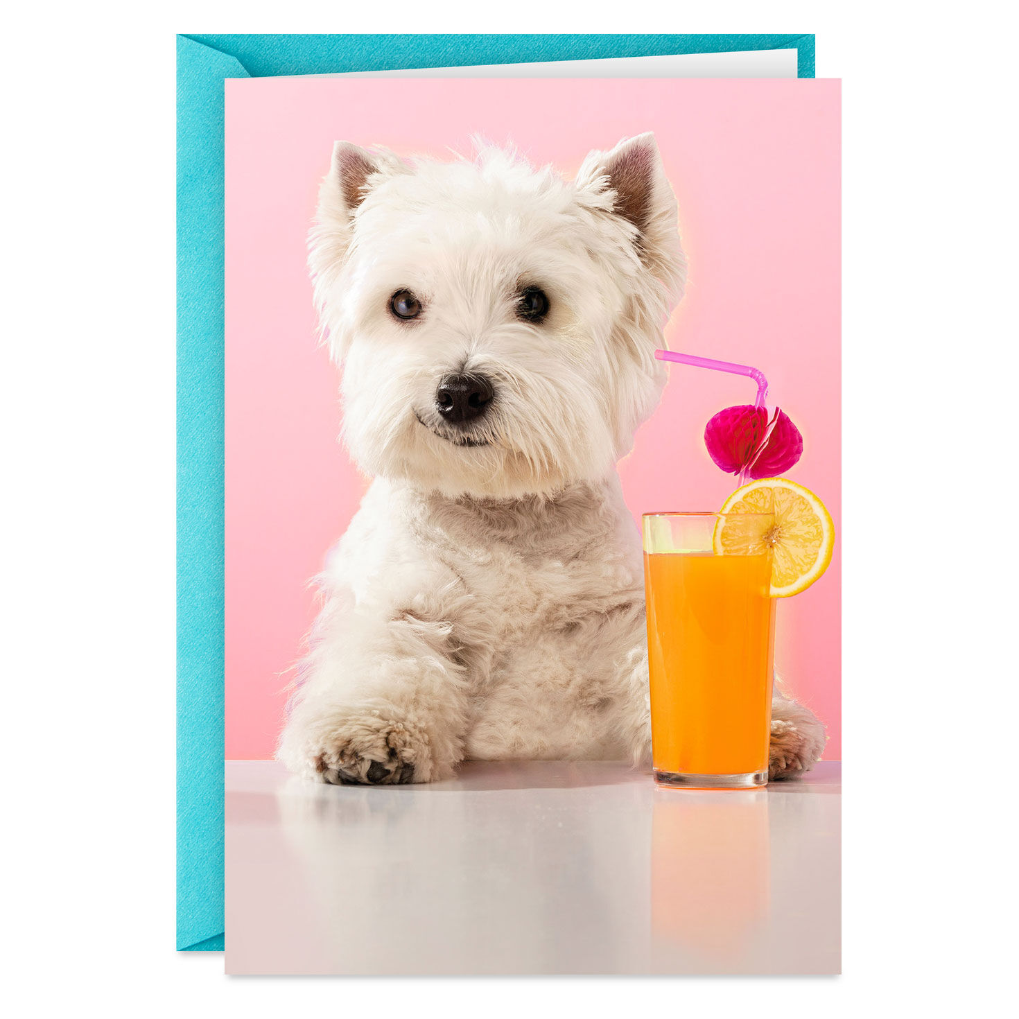 Classy and Sassy Funny Mother's Day Card