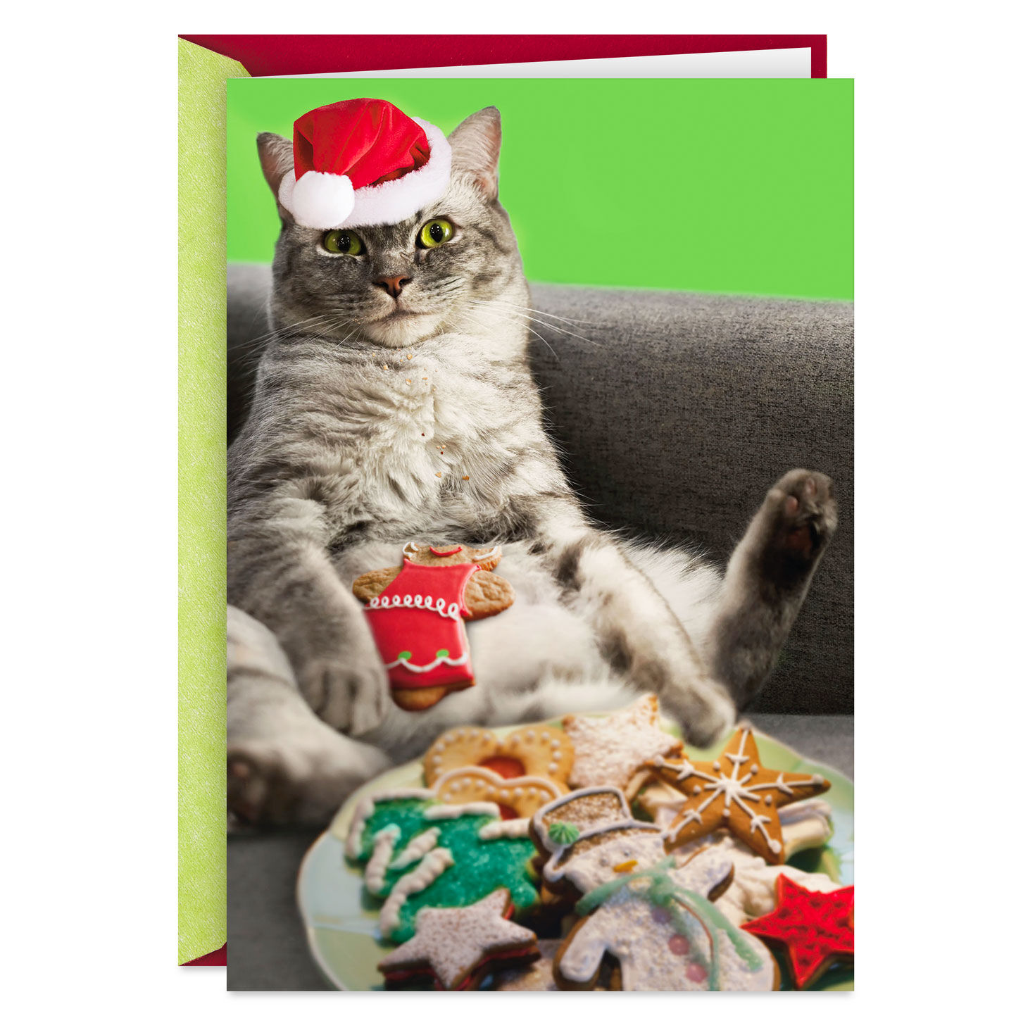 Eat All the Damn Cookies Cat in Santa Hat Funny Christmas Card