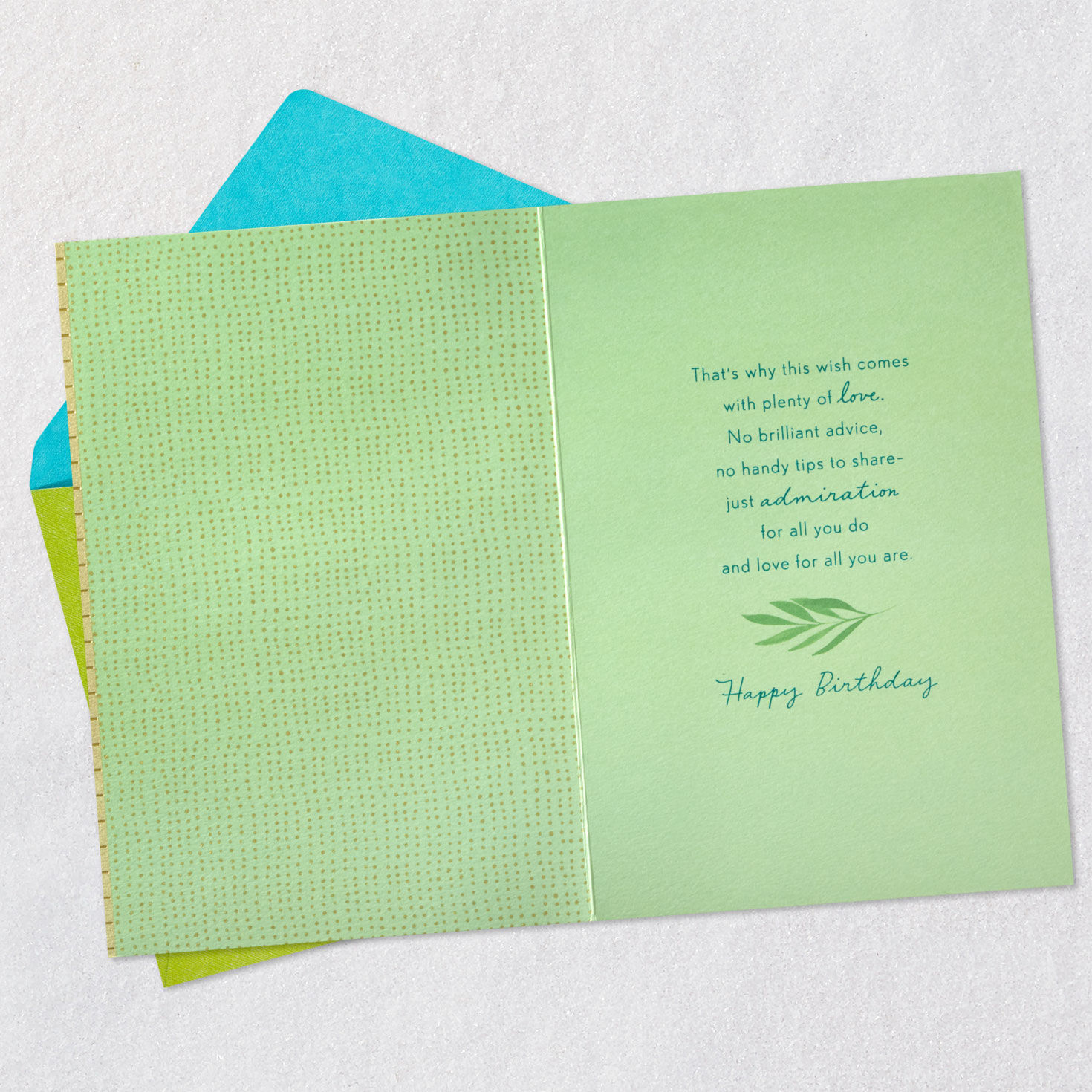 Sharing a Wish With Plenty of Love Birthday Card for Son, , large image number 3