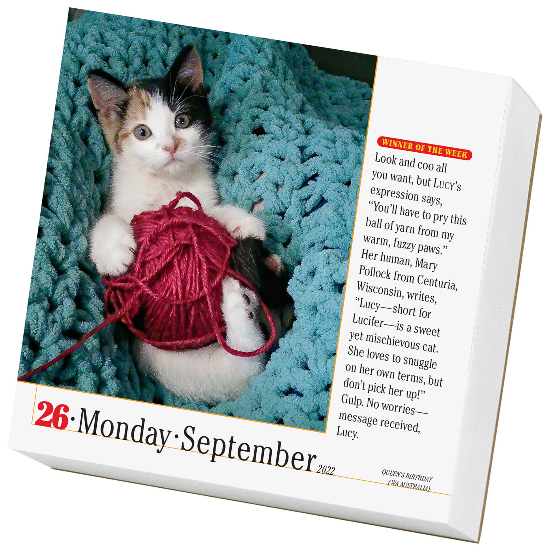 365 Cats Page A Day Calendar 2022 Calendars Planners Hallmark 365-cats-page-a-day-calendar-2022-calendars-planners-hallmark