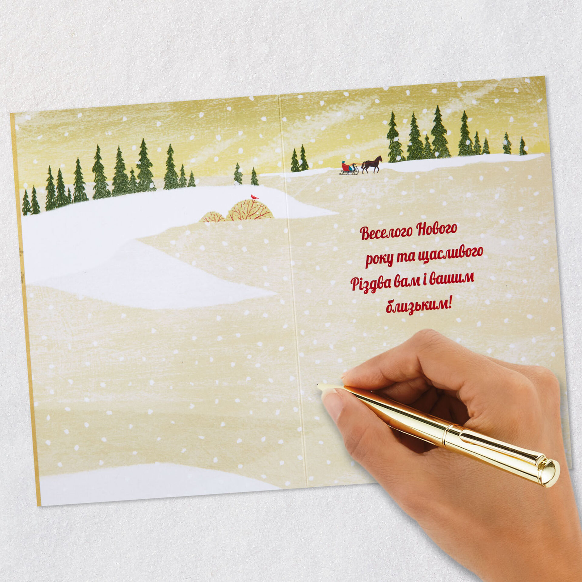Beautiful and Meaningful Wishes UkrainianLanguage Christmas Card