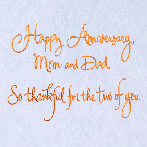 A Special Day to Celebrate Anniversary Card for Parents, 