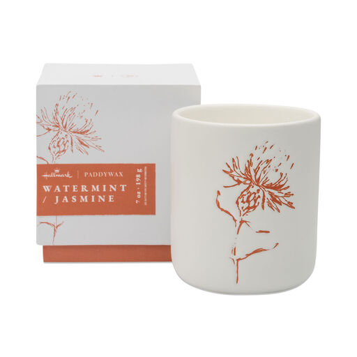 Paddywax Watermint & Jasmine Boxed Ceramic Candle, 7 oz., 