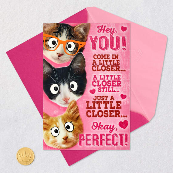 Group Hug Funny Pop-Up Valentine's Day Card From Cat, , large image number 6