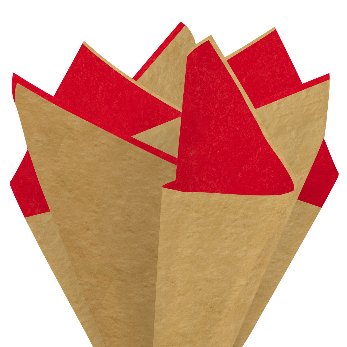 Red and Gold Tissue Paper Pack 3-D Fan image number 2