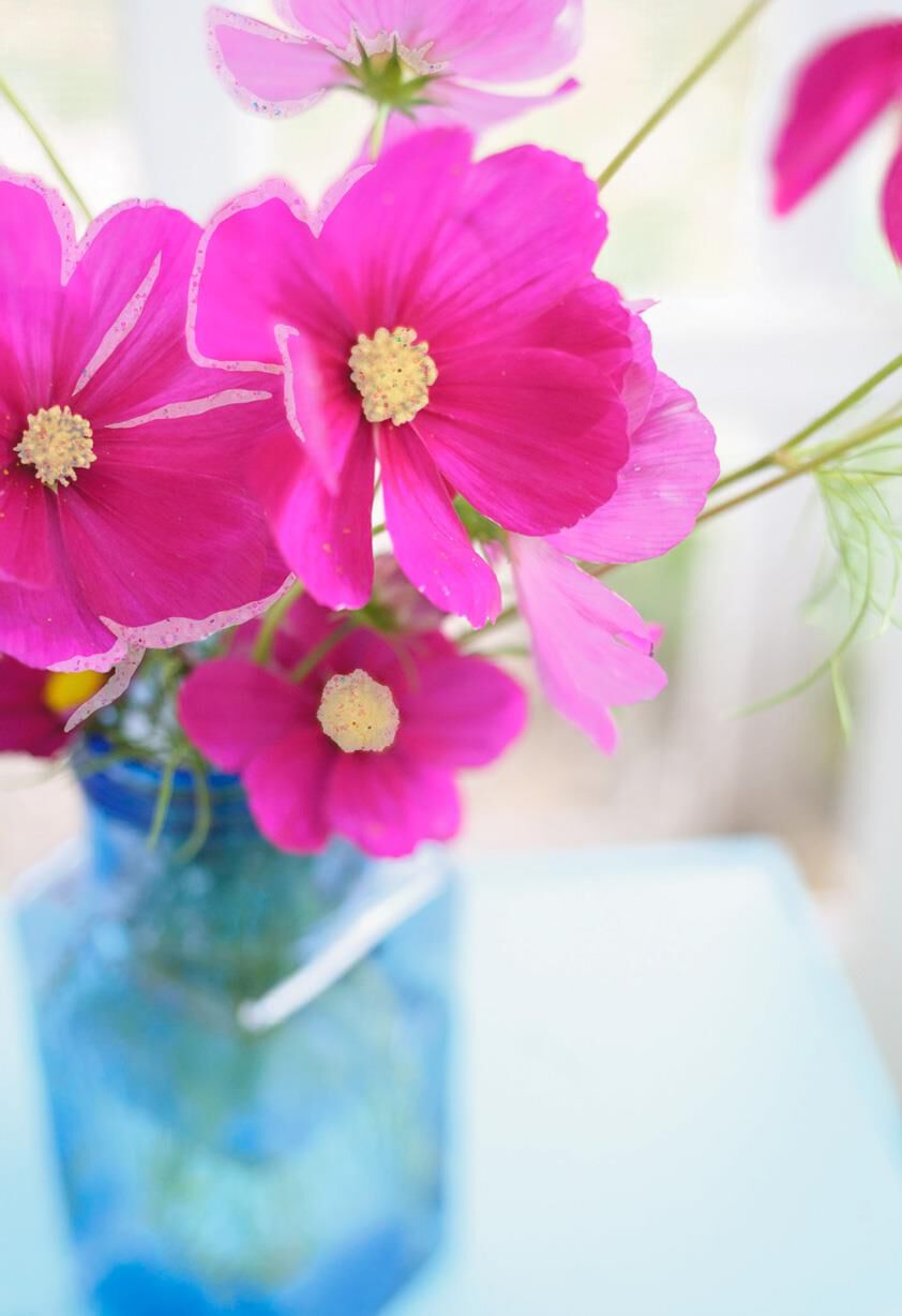 Pink Flowers in Vase Blank Birthday Card