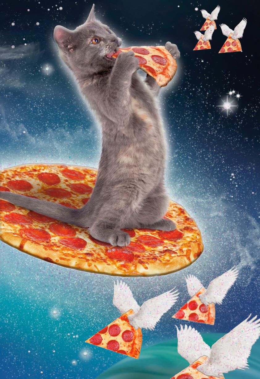 Cosmic Cat and Pizza Funny Birthday Card
