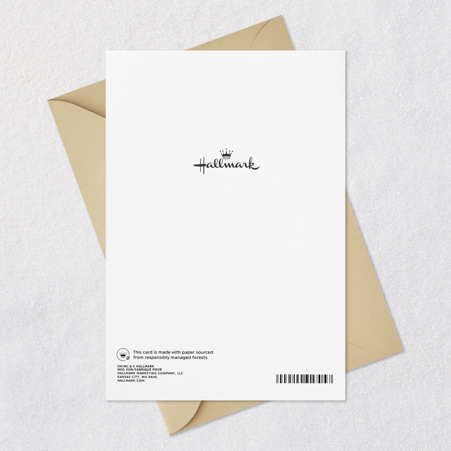 Colorful Feather Sympathy Card Card Back with Envelope image number 8