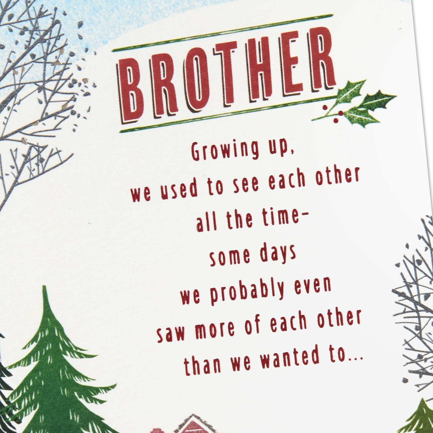 Our Time Together Is a Gift Christmas Card for Brother for only USD 4.59 | Hallmark