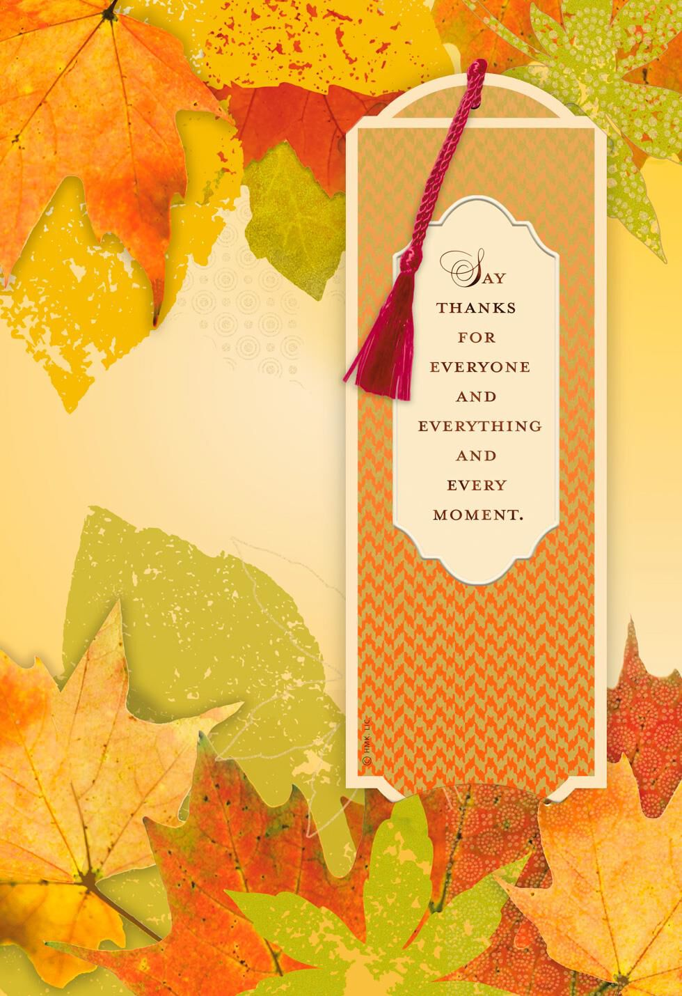 Thanks for Everyone and Everything Thanksgiving Card With Bookmark