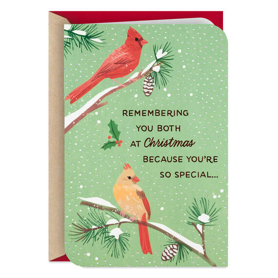 You're So Special Cardinals Christmas Card for Both