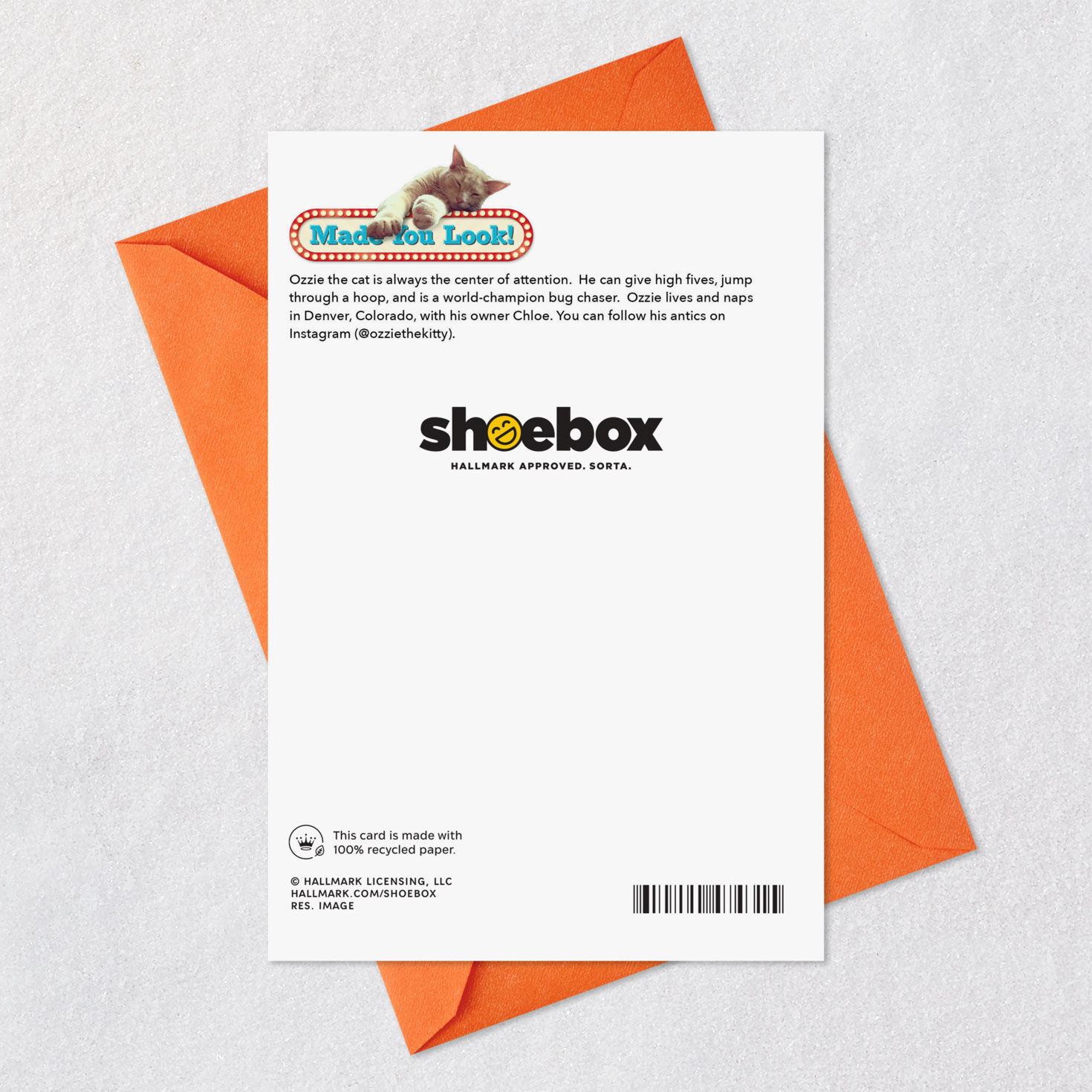 Sleeping Kitty Cat Funny Birthday Card Card Back with Envelope image number 7