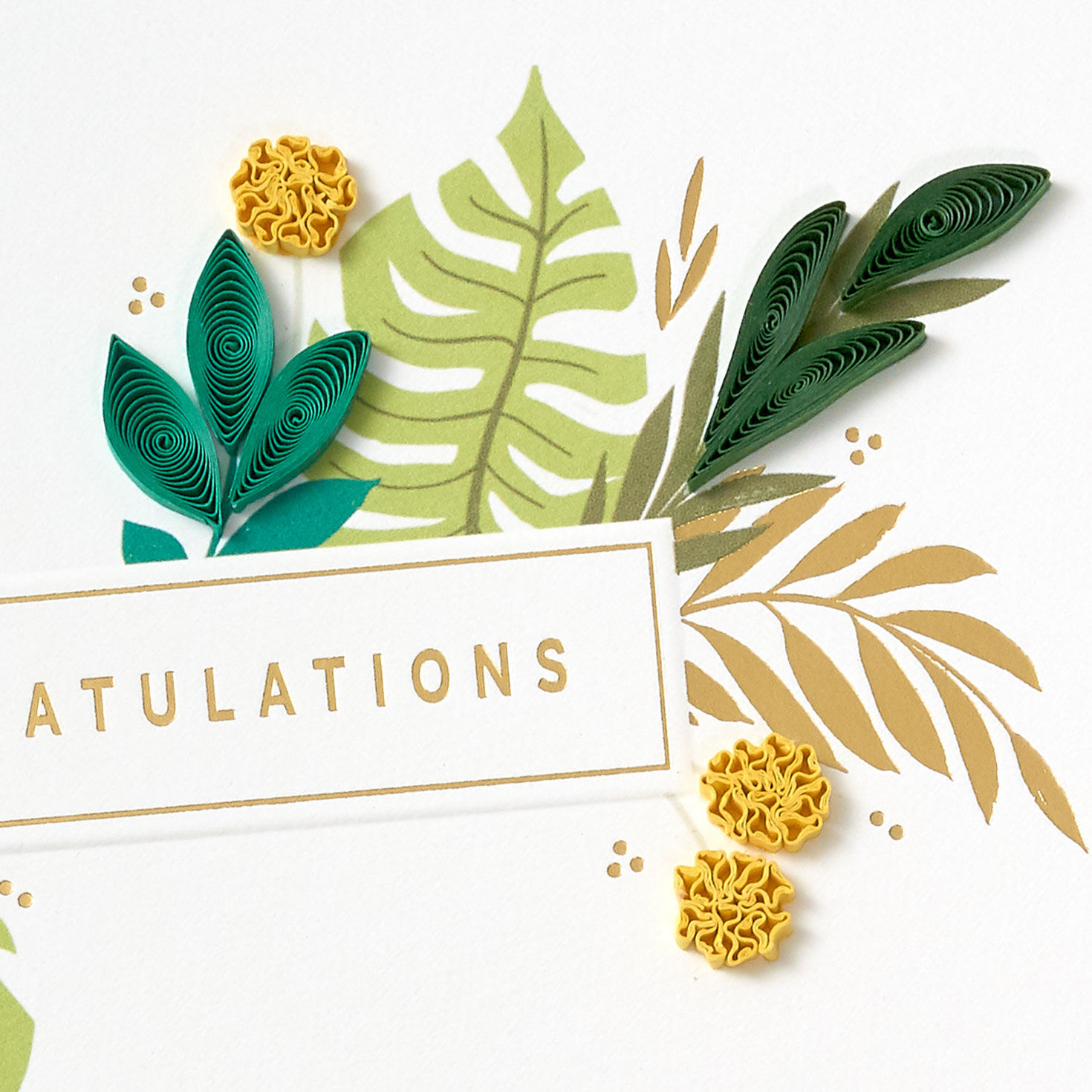 Tropical Leaves Quilled Paper Handmade Blank Congratulations Card for only USD 10.99 | Hallmark