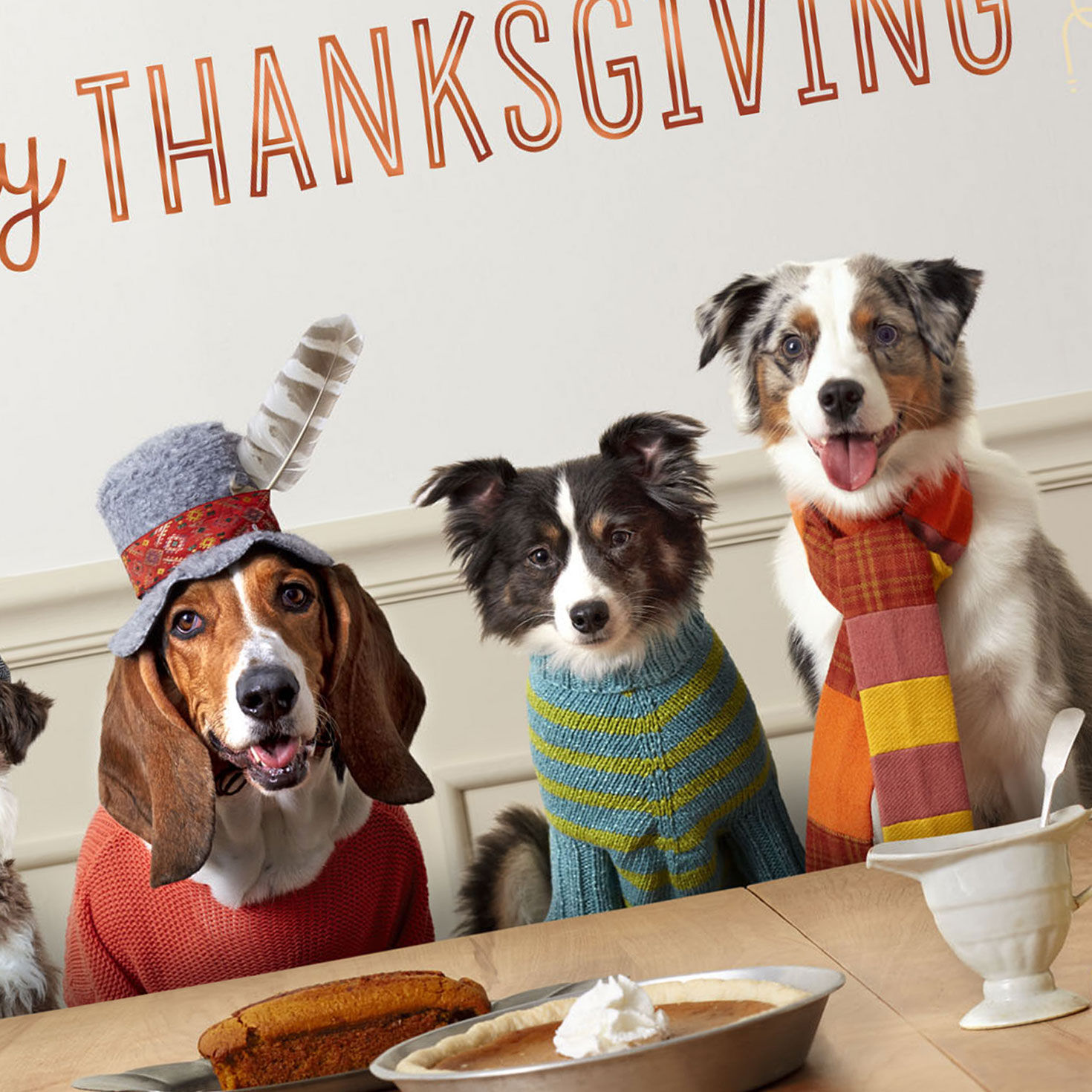 Extra Love and Gratitude Thanksgiving Card From All for only USD 2.99 | Hallmark