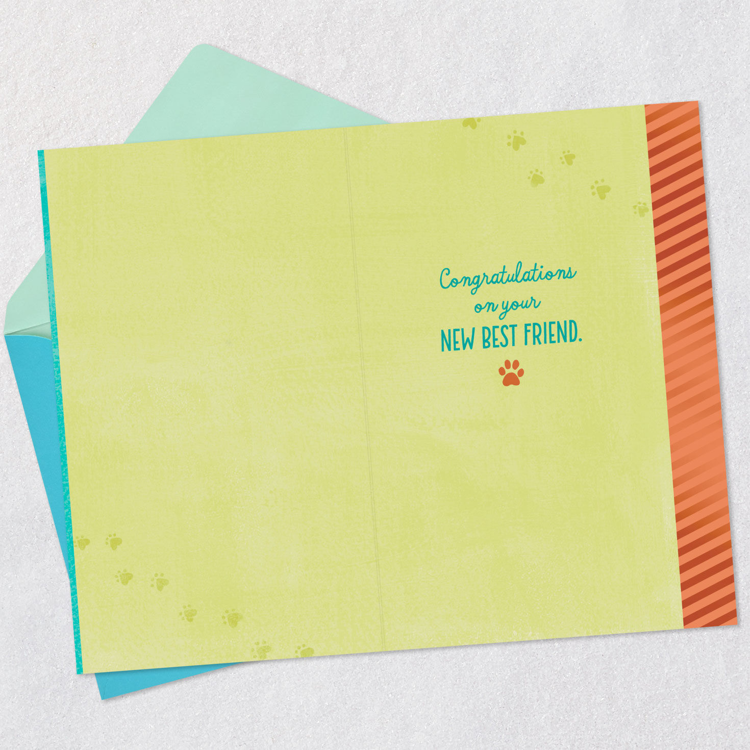 Playful Dogs New Pet Congrats Card Open card with envelope image number 3