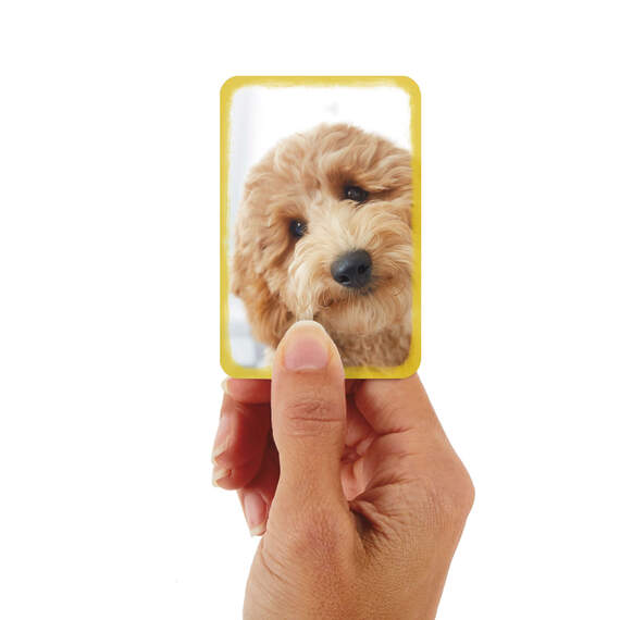 3.25" Mini Fluffy Puppy Dog Blank Card