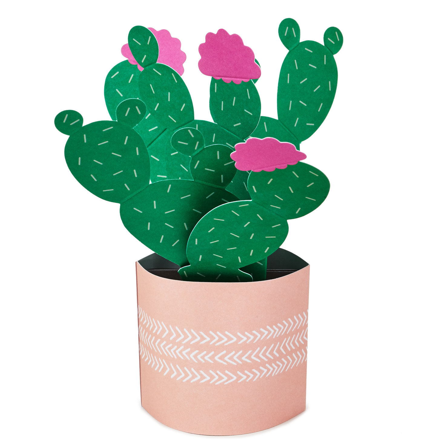 Cactus Looking Sharp 3D Pop-Up Card for only USD 6.99 | Hallmark