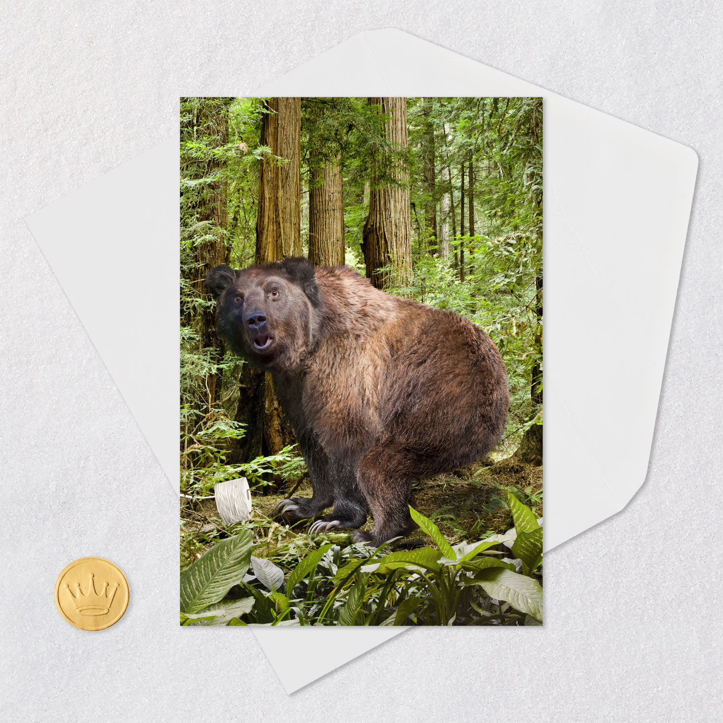 Bear in the Woods Funny Birthday Card Card Front with Envelope and Gold Seal image number 5