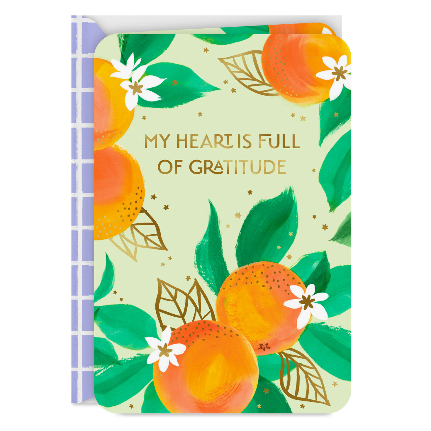 My Heart Is Full of Gratitude Thank You Card