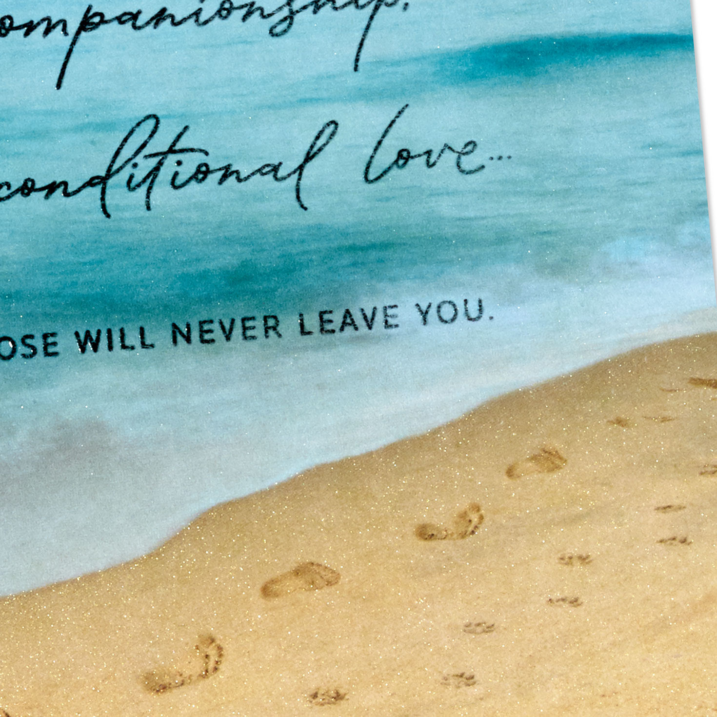 Paw Prints in Sand Dog Sympathy Card Card Front Detail image number 5