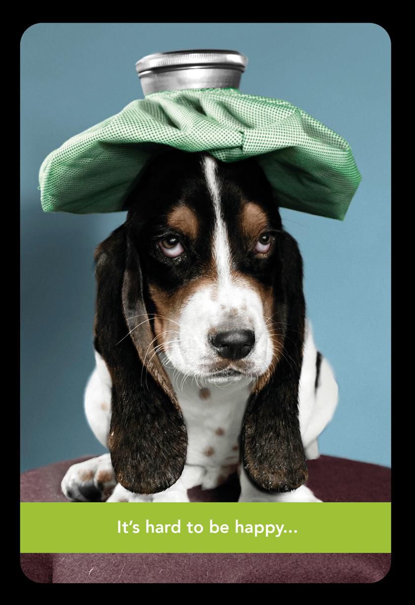 Basset Hound With Ice Pack Get Well Card