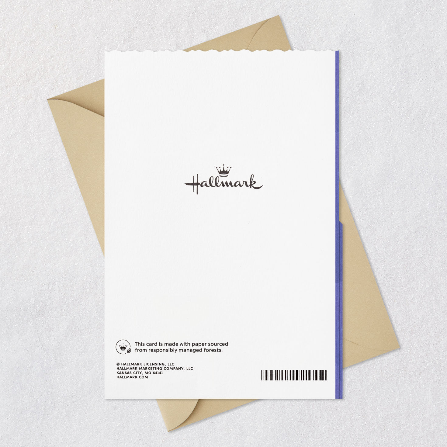 Sunflowers on Blue Encouragement Card Card Back with Envelope image number 7