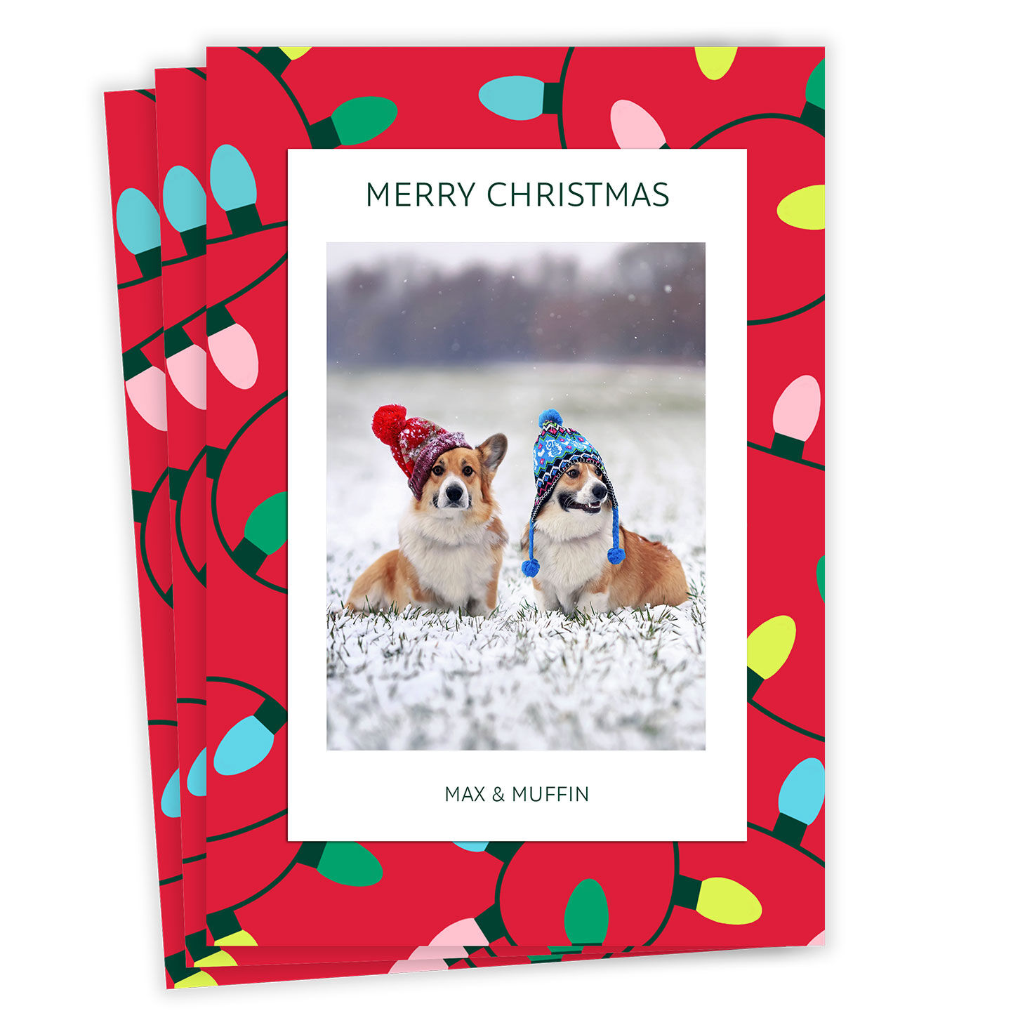 Bold String Lights Flat Christmas Photo Card