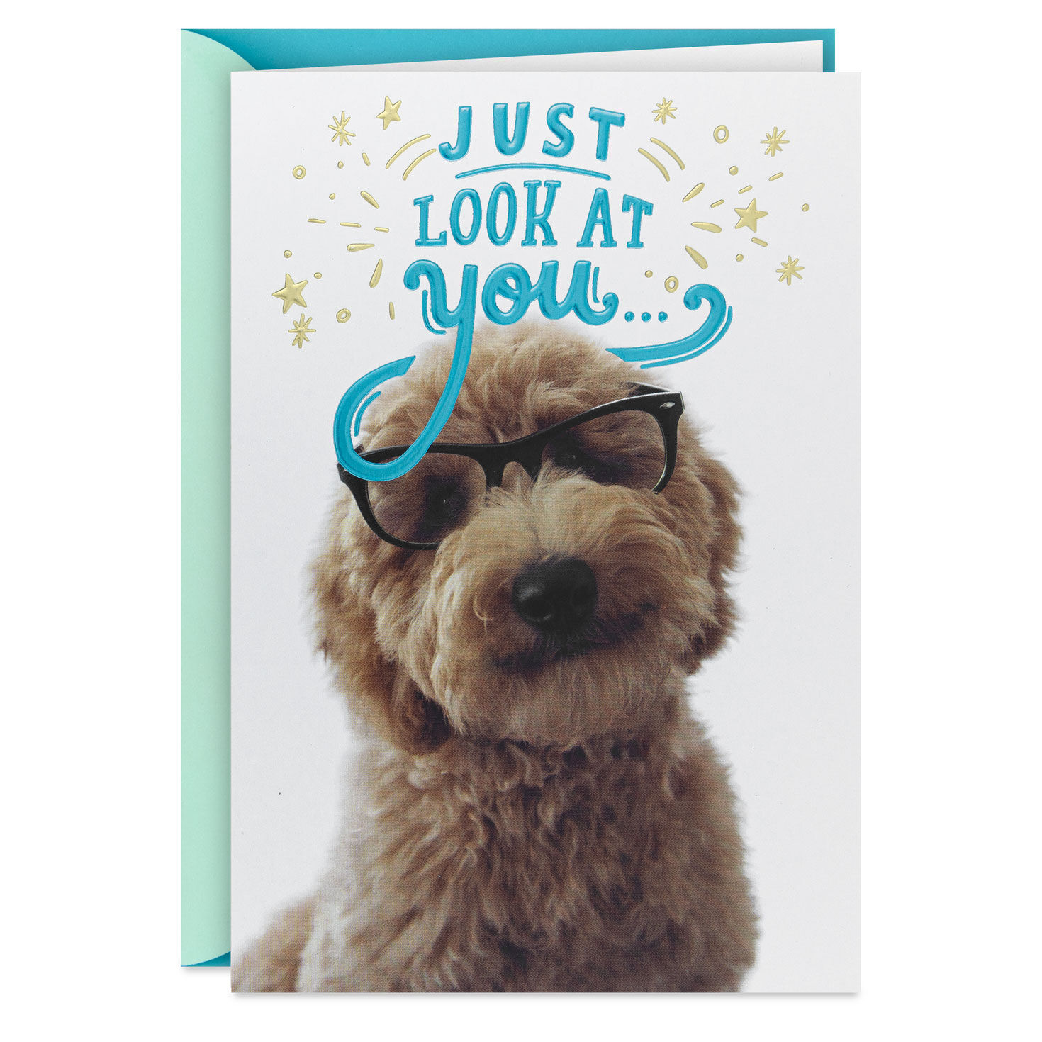 Look at You Being All Awesome Congratulations Card
