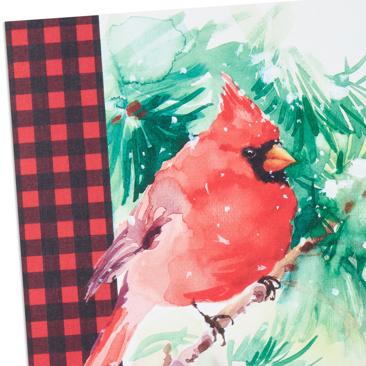 Cardinal DaySpring Religious Christmas Cards Cover Detail image number 6