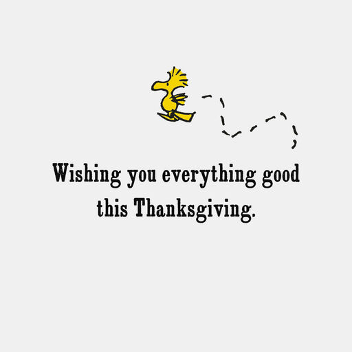 Peanuts® Snoopy and Woodstock So Thankful Thanksgiving Card, 
