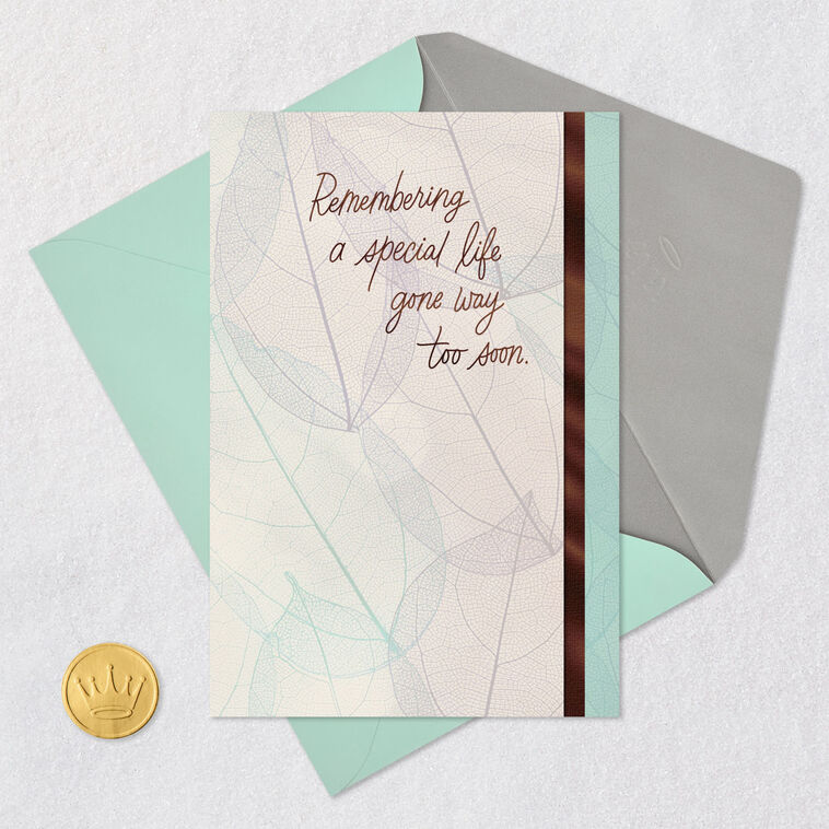 Hallmark Drawings Remembering a Special Life Gone Too Soon Sympathy Card - Greeting Cards ...