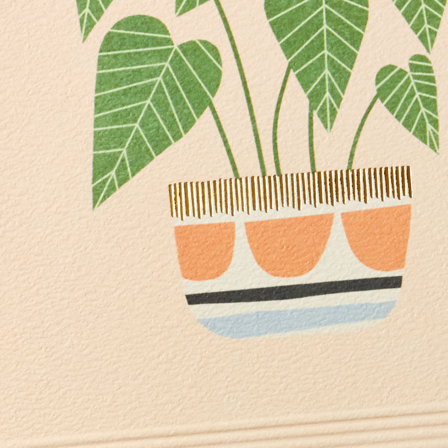 Houseplant on Blush Signature Blank Card Card Front Detail image number 3