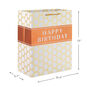 Happy Birthday Hexagons Large Gift Bag measurement image number 3
