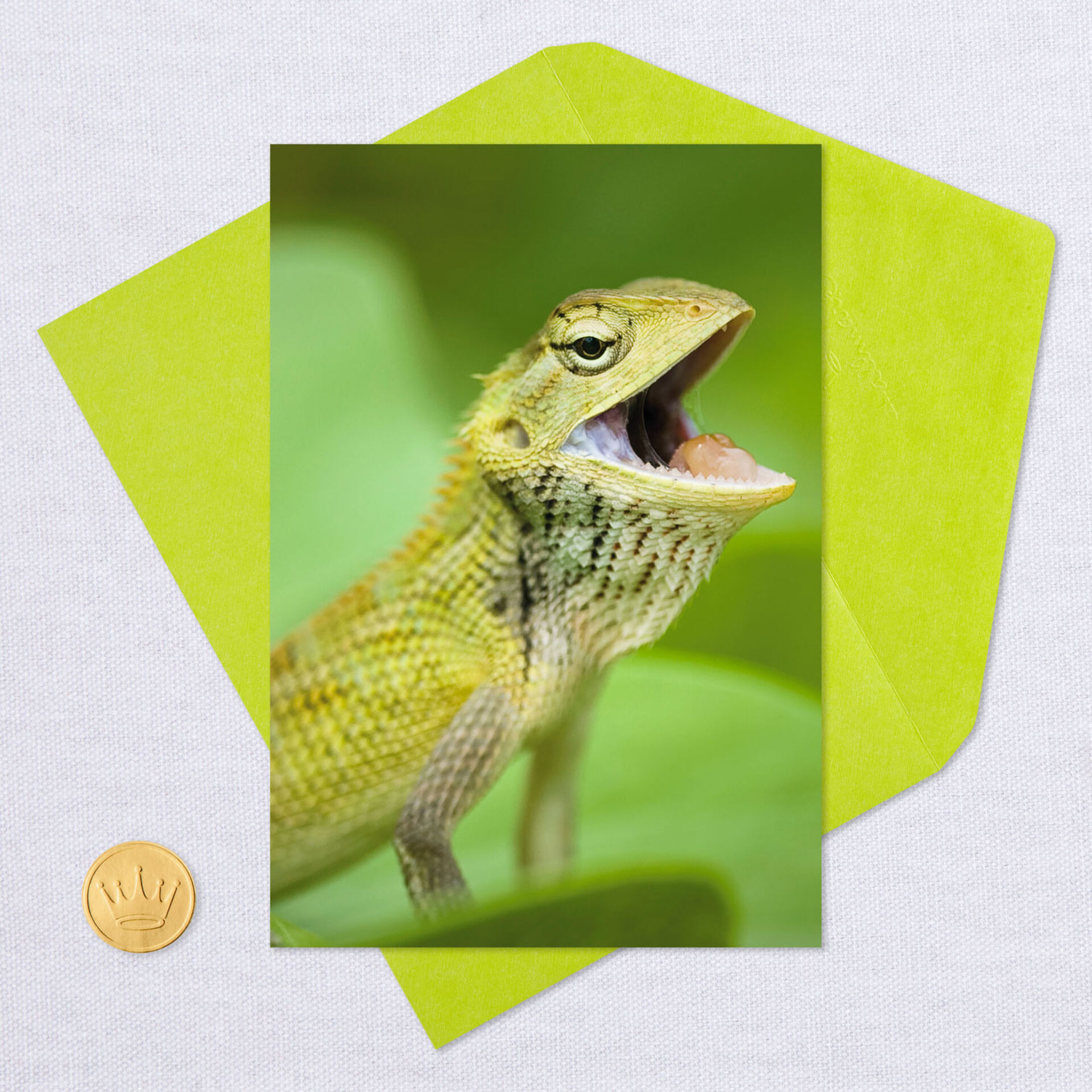 If You Were a Lizard Funny Birthday Card - Greeting Cards - Hallmark