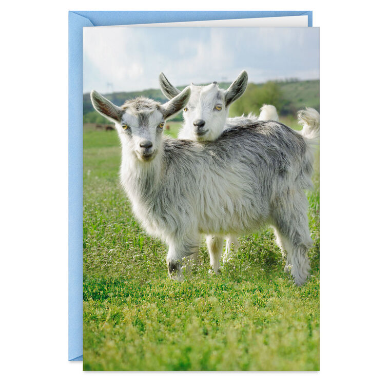 Crazy Kids in Love Funny Anniversary Card