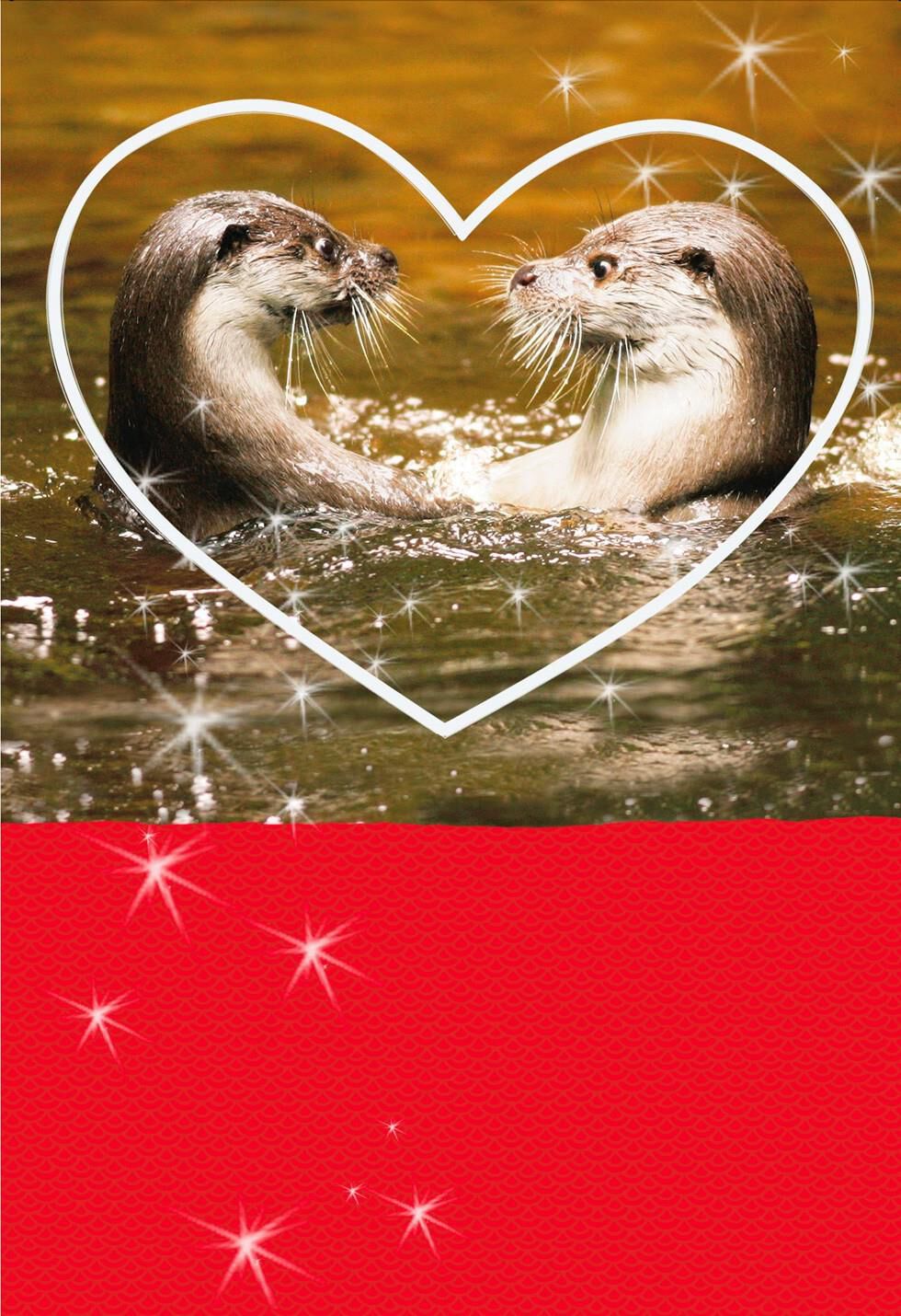Significant Otter Funny Sweetest Day Card