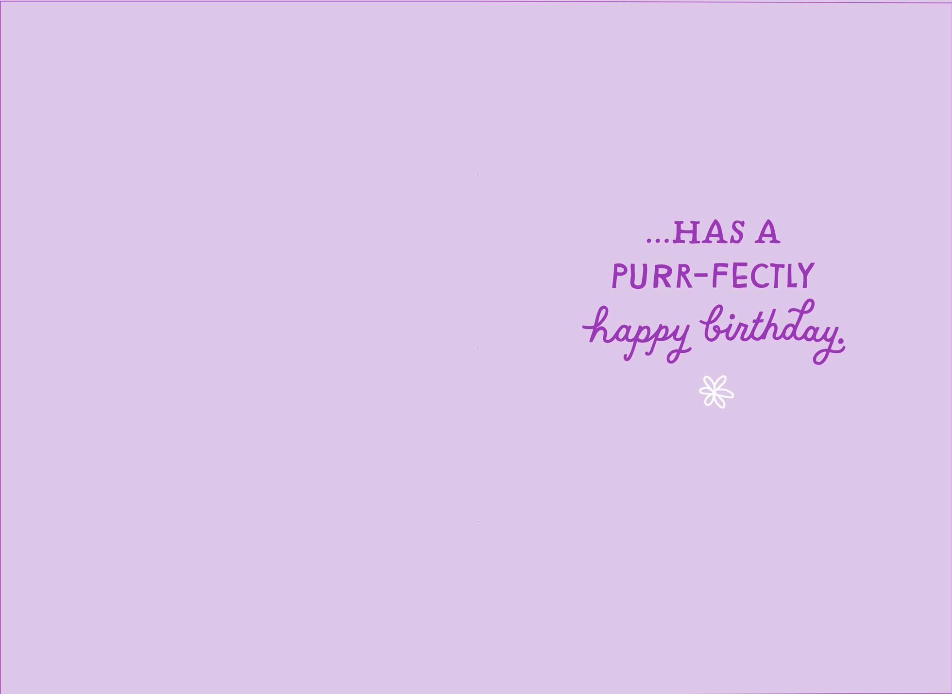 Purr-fectly Wonderful Kittens Birthday Card for Friend