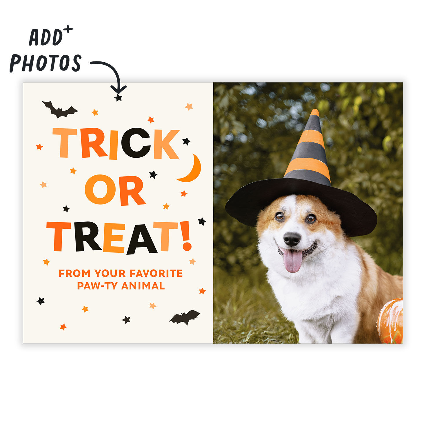 Paw-ty Animal Pet Photo Personalized Halloween Card Card Front indicating personalization image number 2